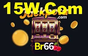 Br66 App Interface