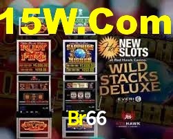 Exclusive Games Br66