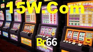 Programa VIP Br66
